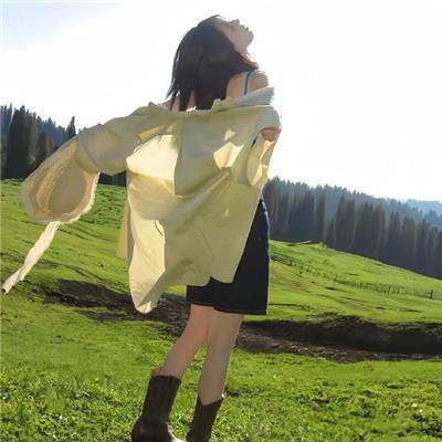 护国驸马爷一国驸马护山河